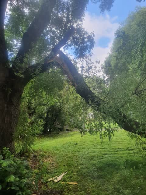 Parks — a report photo