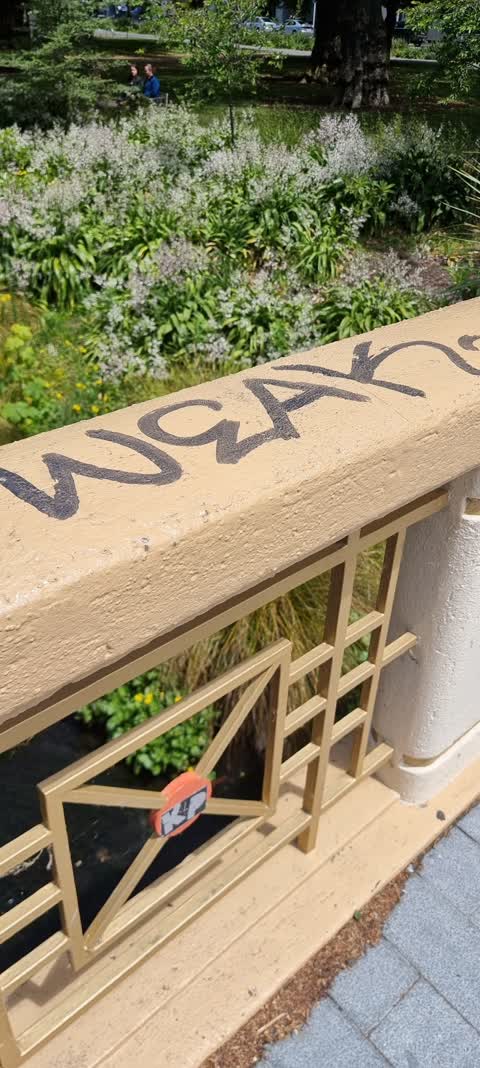 Graffiti, a report photo