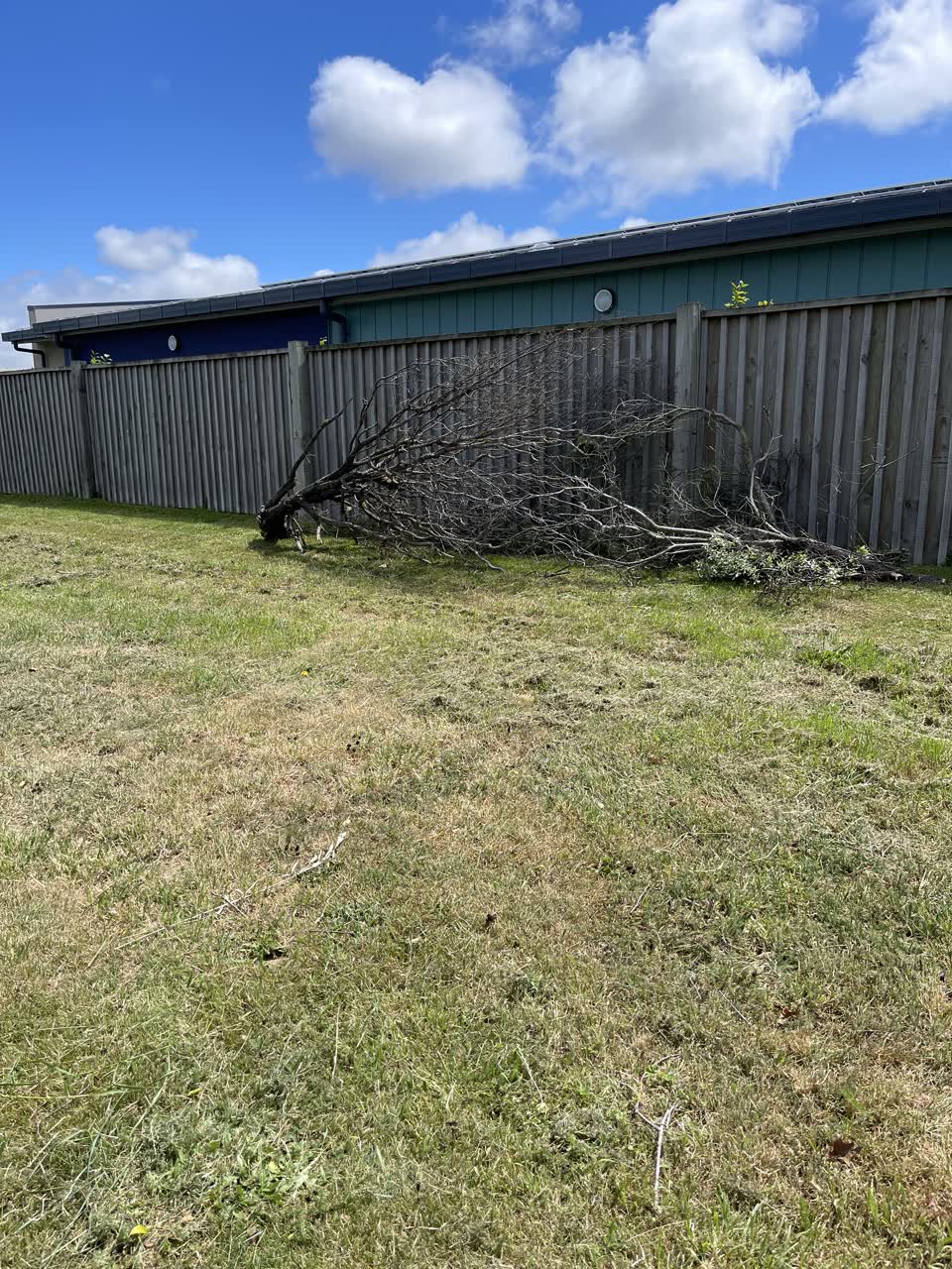 The photograph attached to this parks report