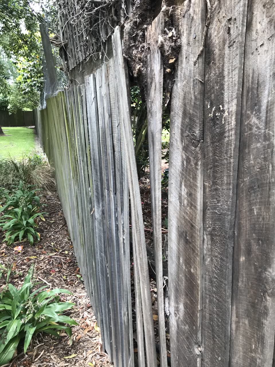 The photograph attached to this parks report