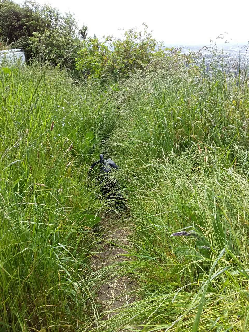 The photograph attached to this parks report