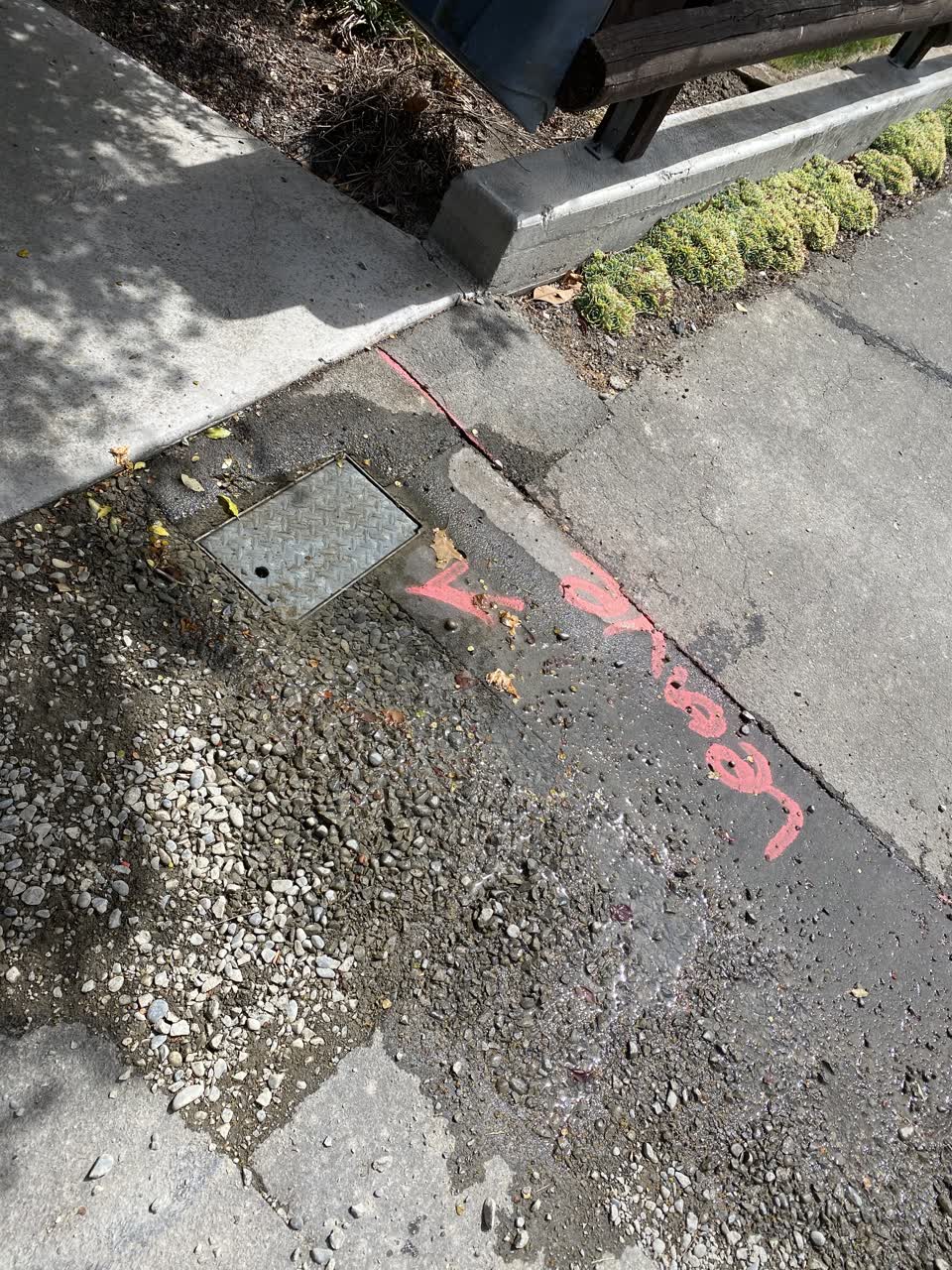 The photograph attached to this water leak report