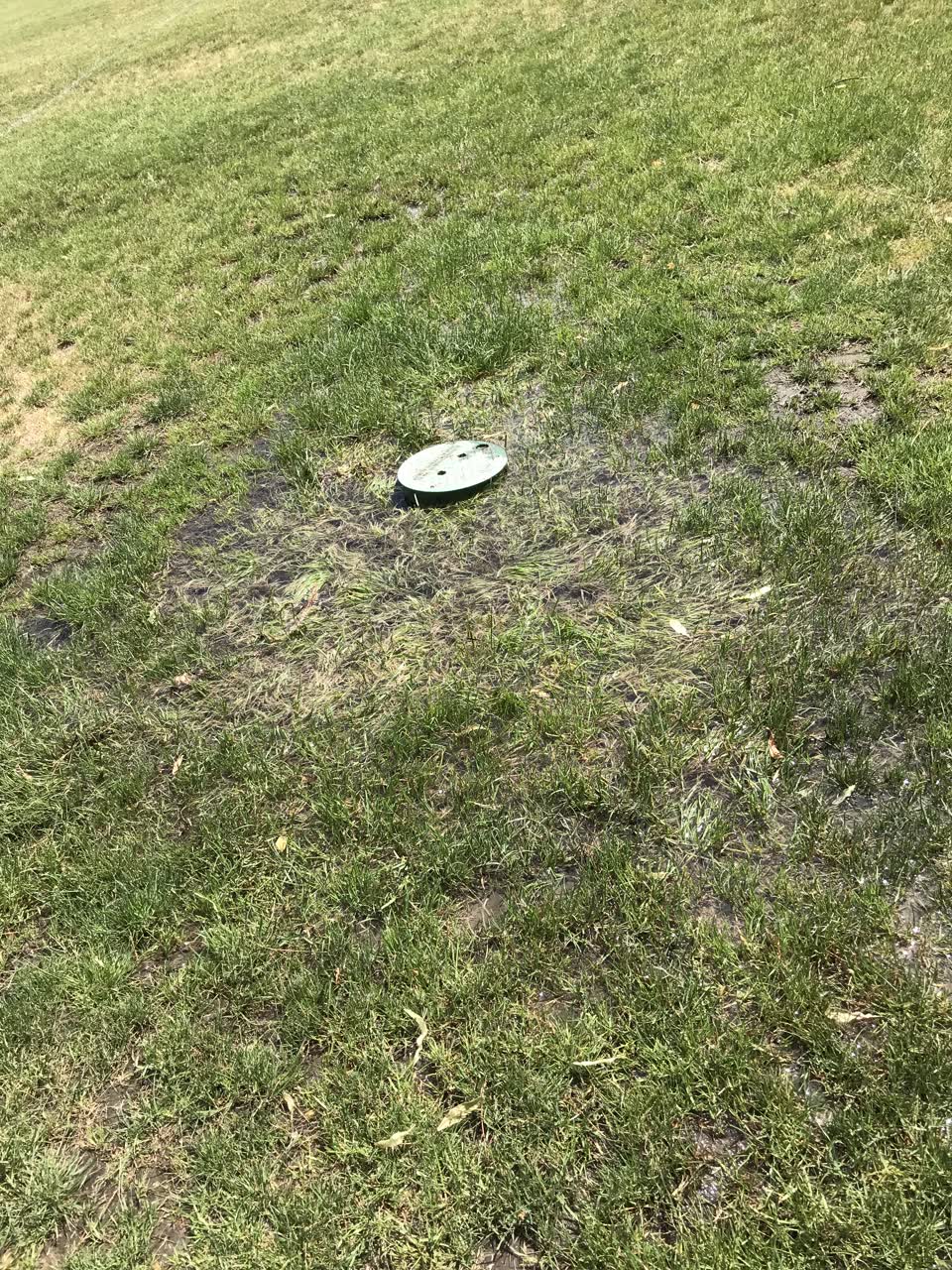 The photograph attached to this parks report