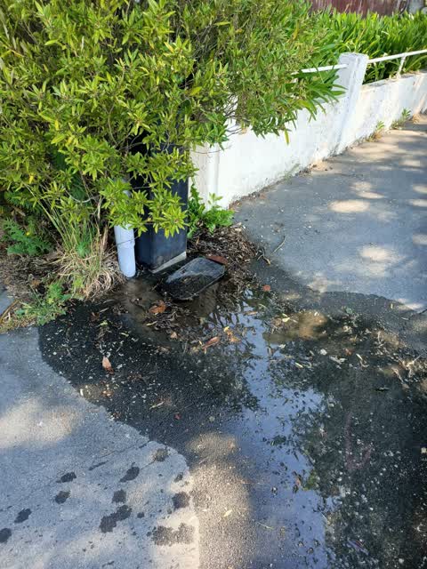 Water Leak, a report photo