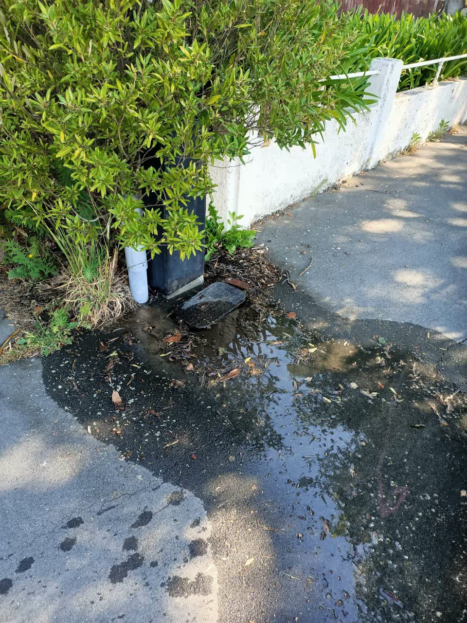 The photograph attached to this water leak report