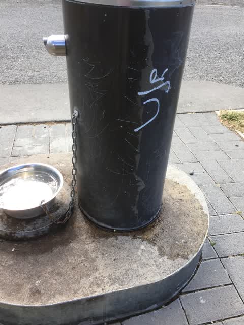 Graffiti — a report photo