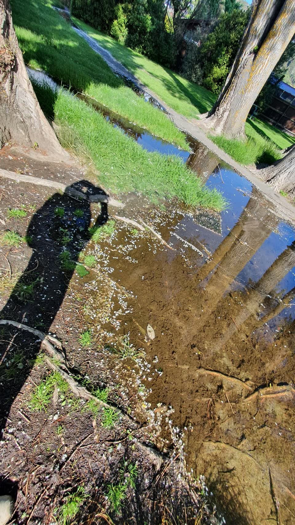 The photograph attached to this flooding report