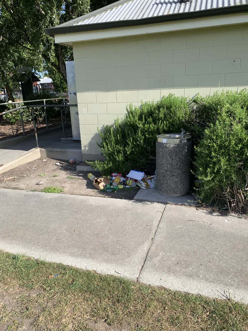 The photograph attached to this parks report