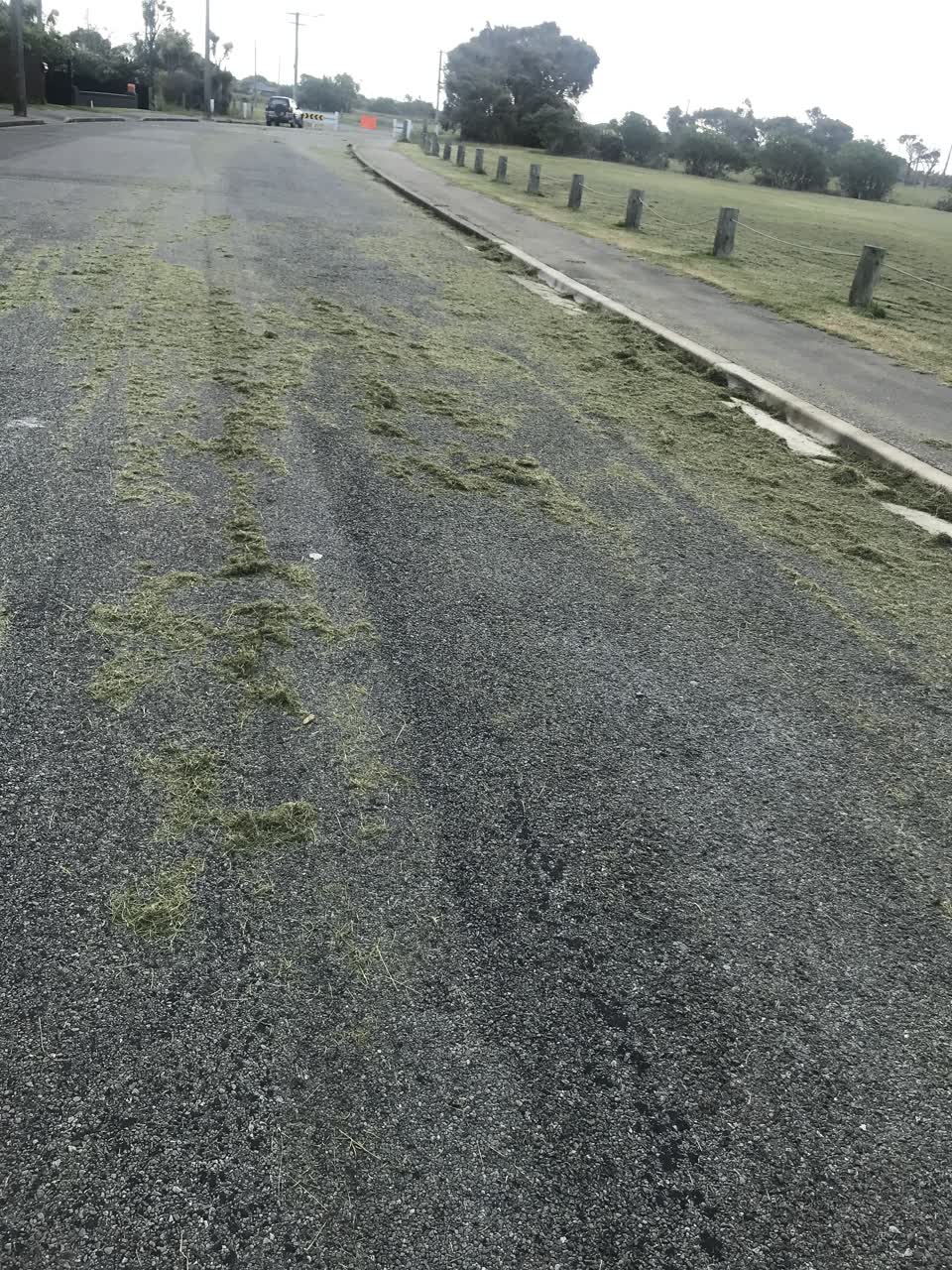 The photograph attached to this parks report
