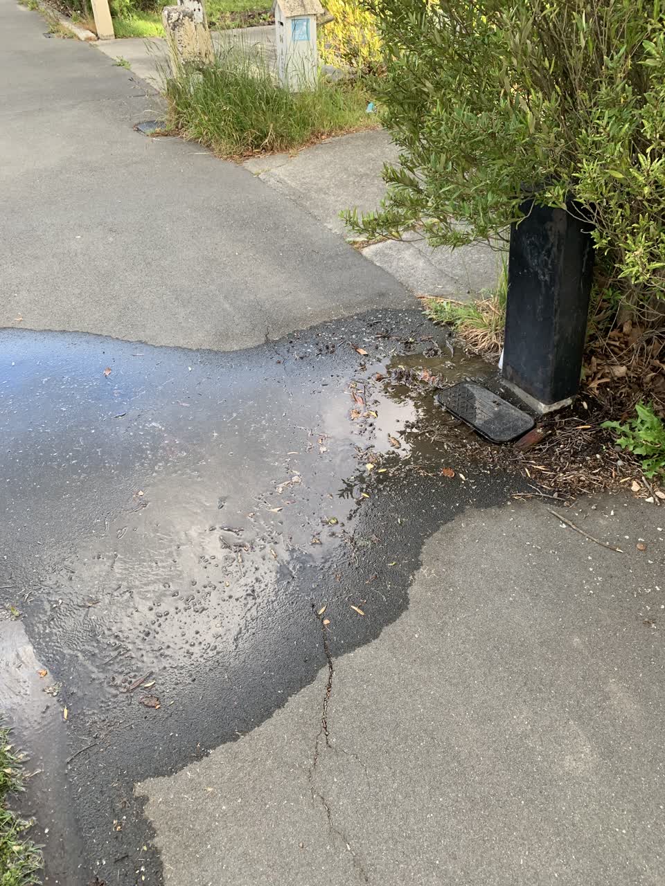 The photograph attached to this water leak report