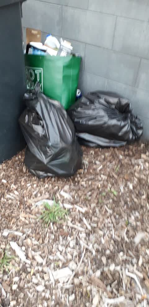Rubbish/Recycling, a report photo