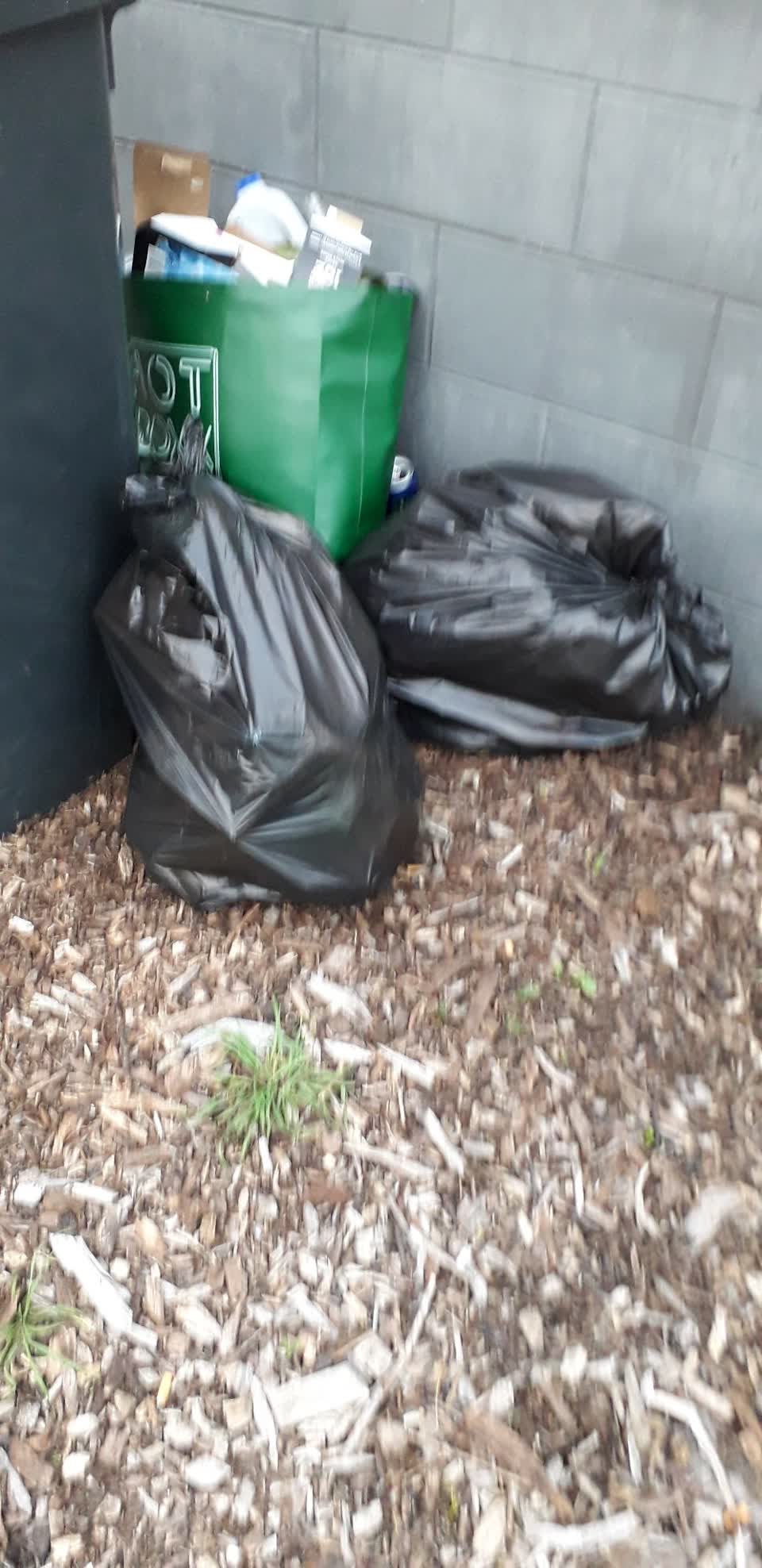 The photograph attached to this rubbish/recycling report