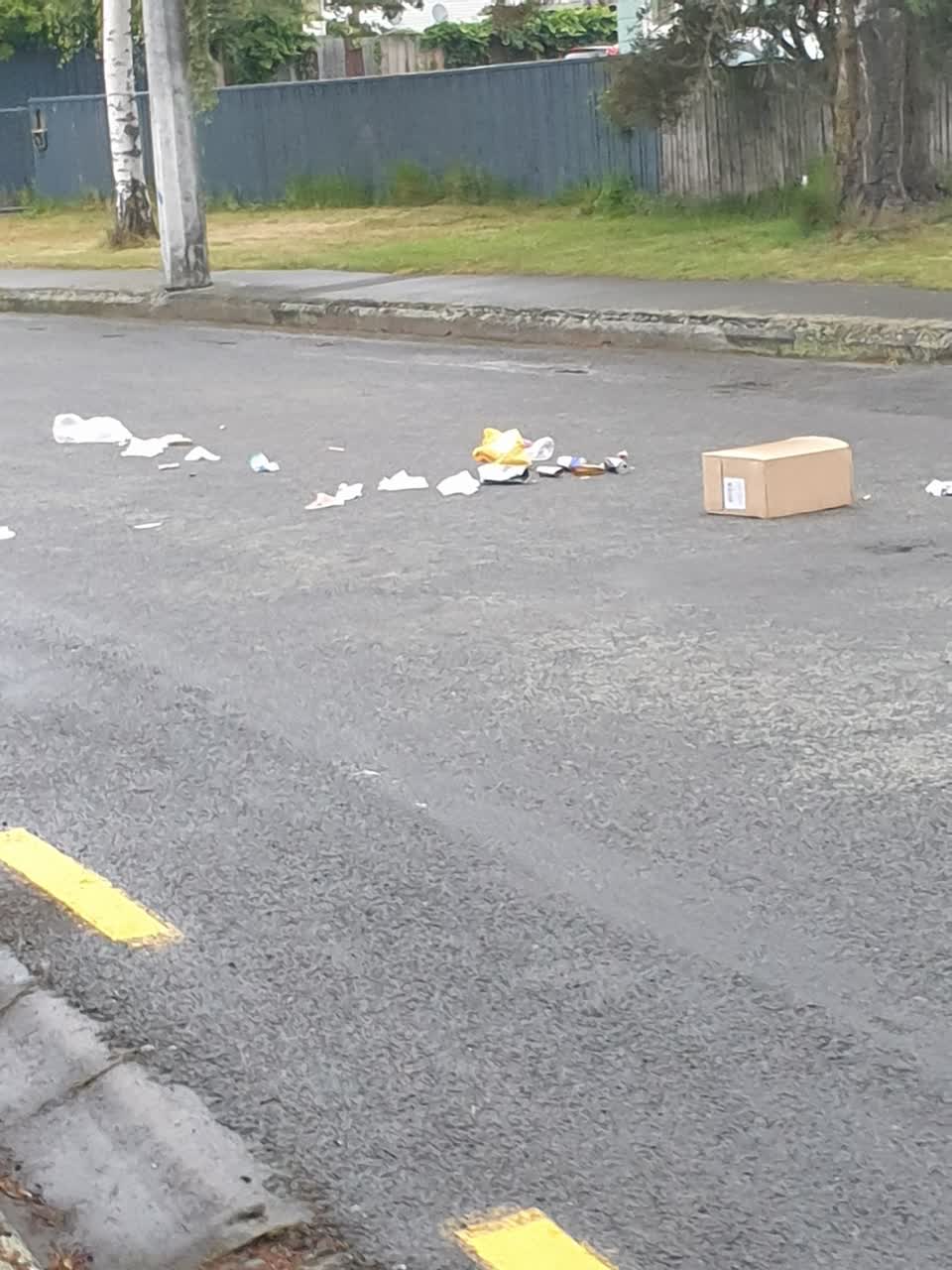 The photograph attached to this rubbish/recycling report