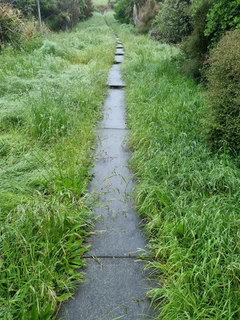 Roading/Streets, a report photo