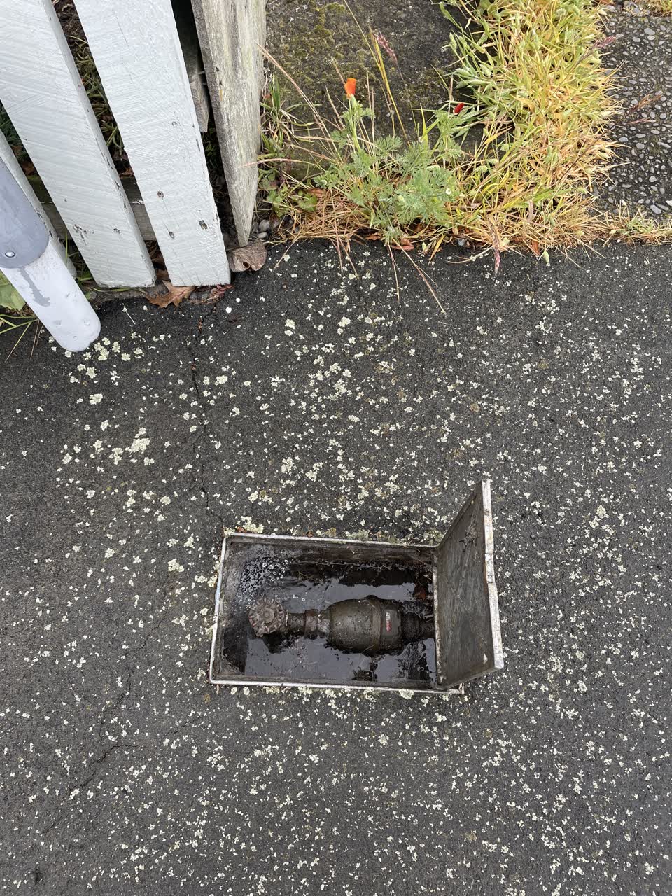 The photograph attached to this water leak report