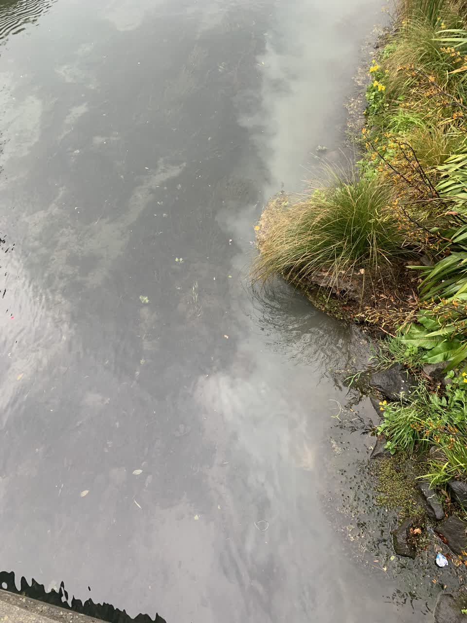 The photograph attached to this wastewater/stormwater report