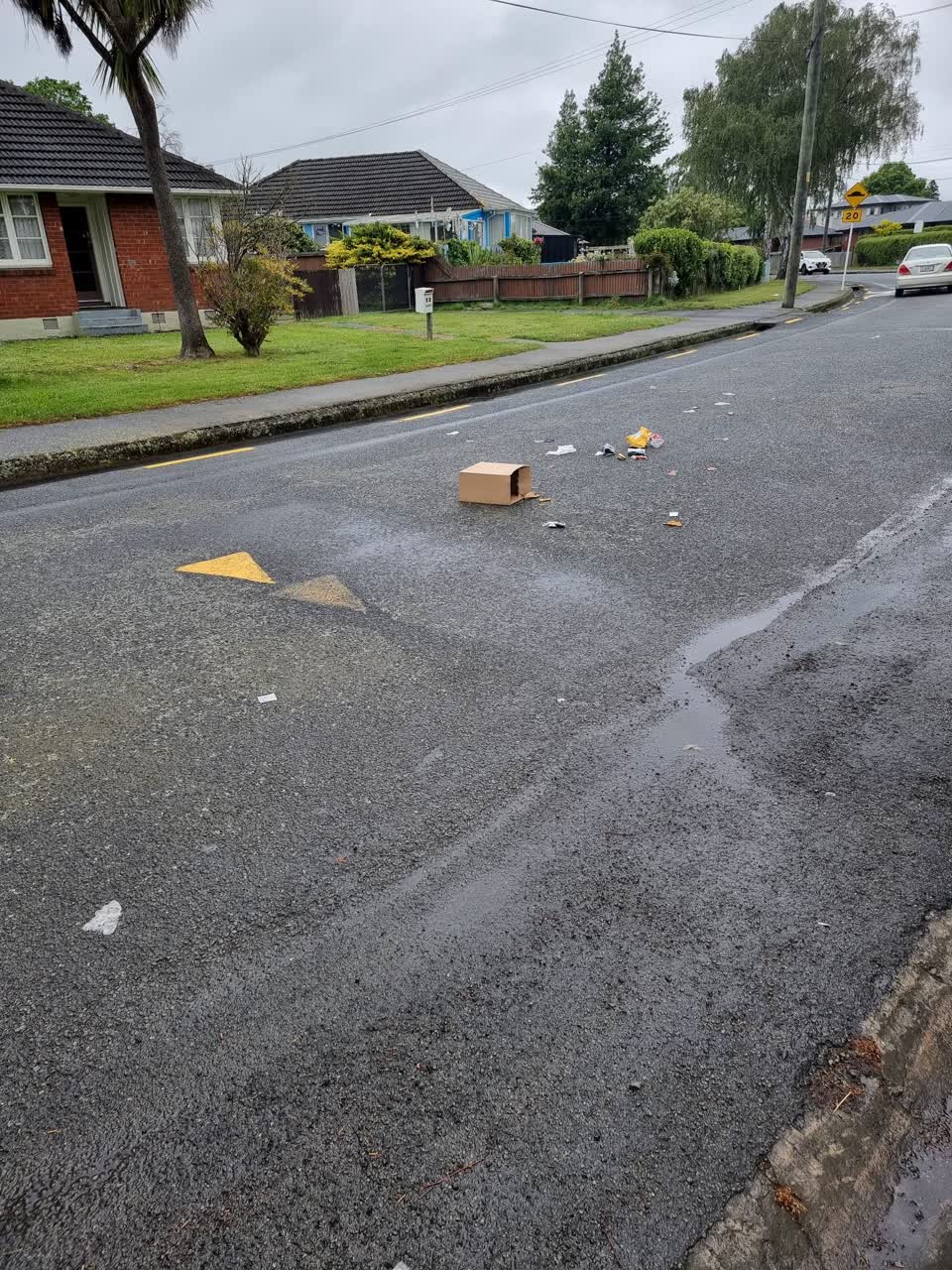 The photograph attached to this rubbish/recycling report