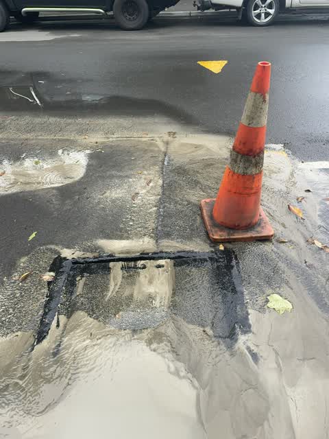 Water Leak, a report photo