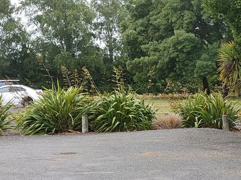 Parks, a report photo