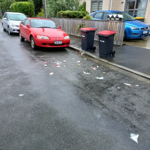 Rubbish/Recycling, a report photo