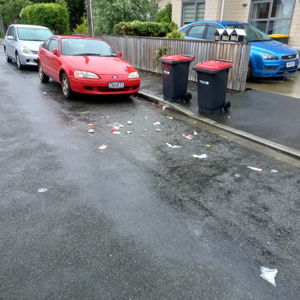 The photograph attached to this rubbish/recycling report