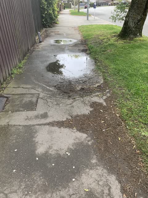 Roading/Streets, a report photo