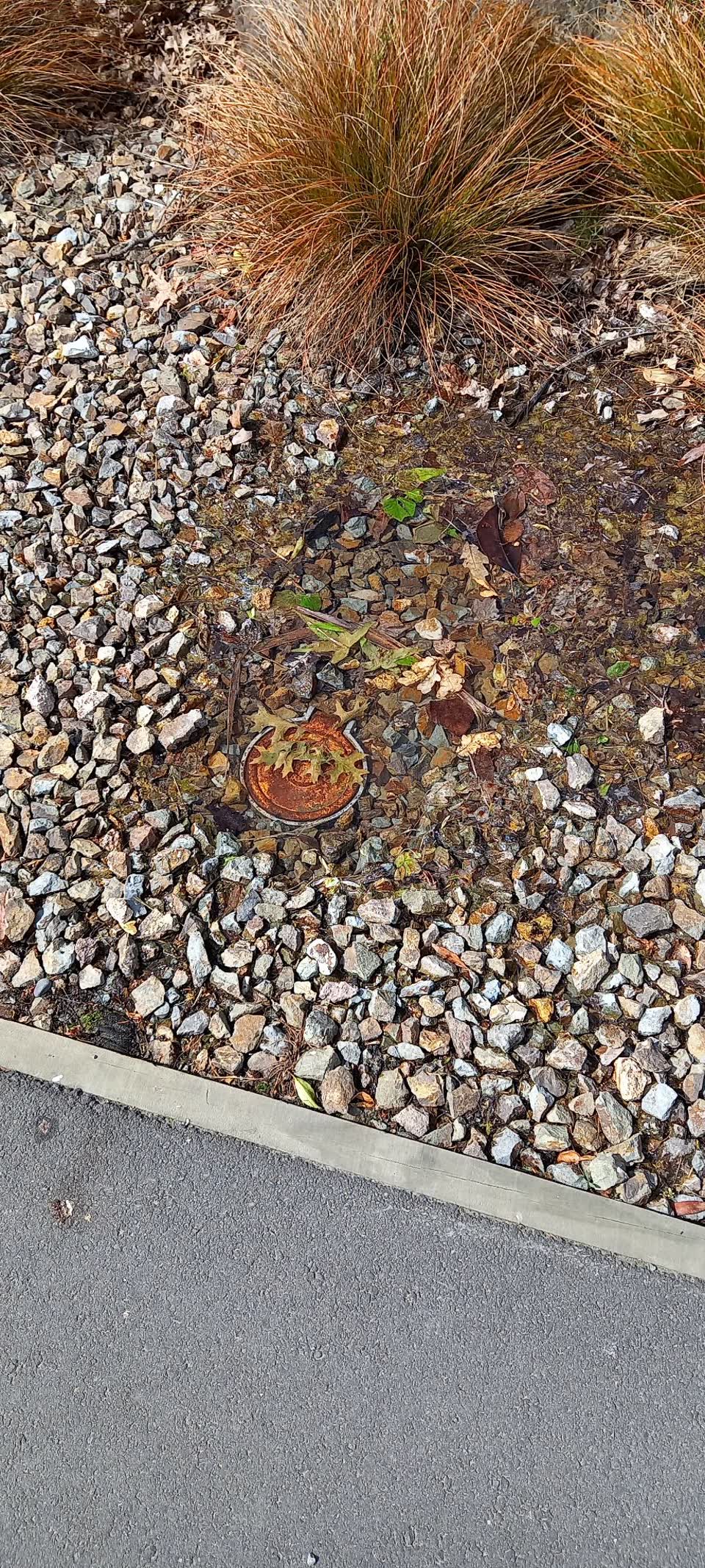 The photograph attached to this water leak report
