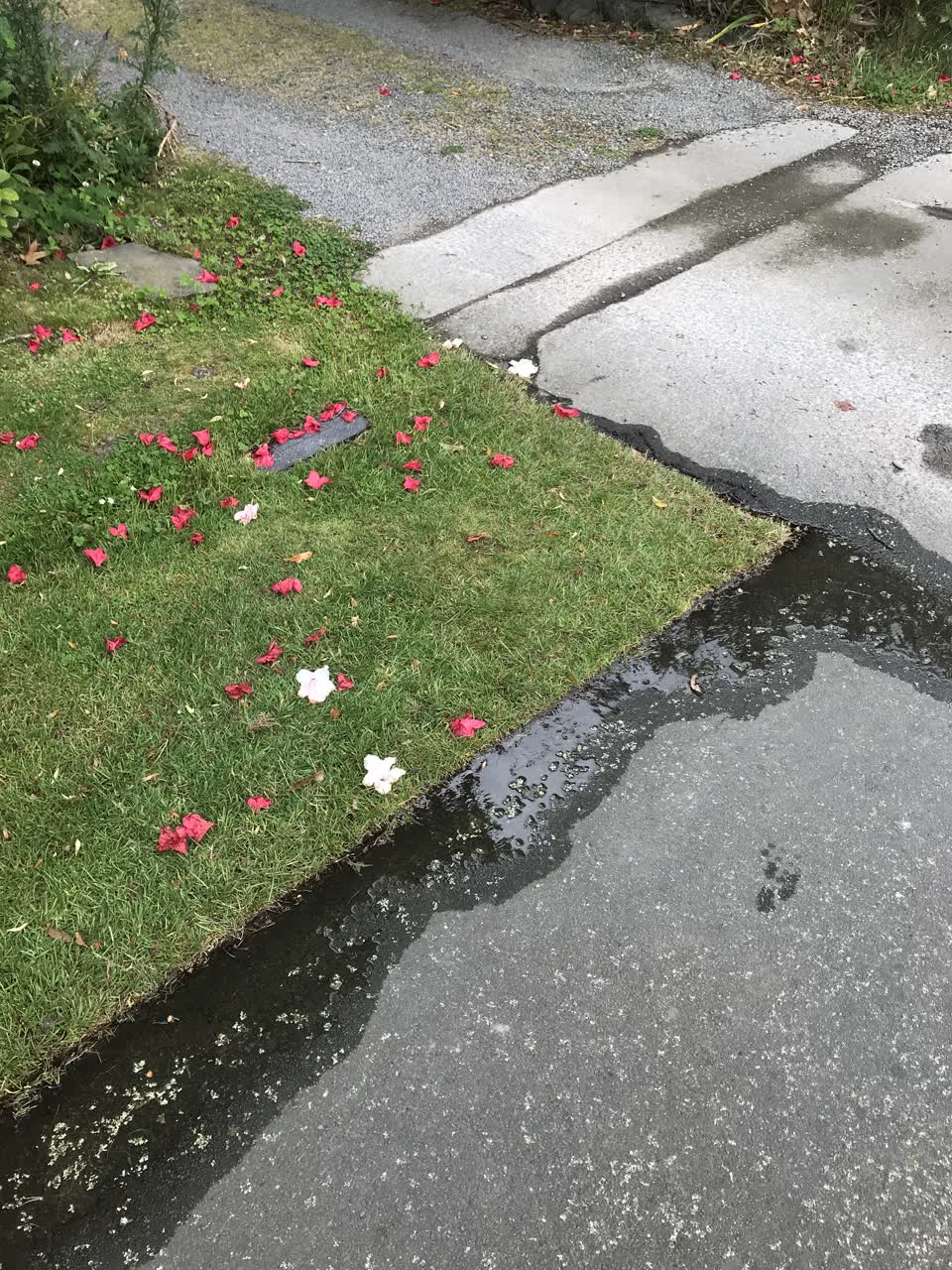 The photograph attached to this water leak report