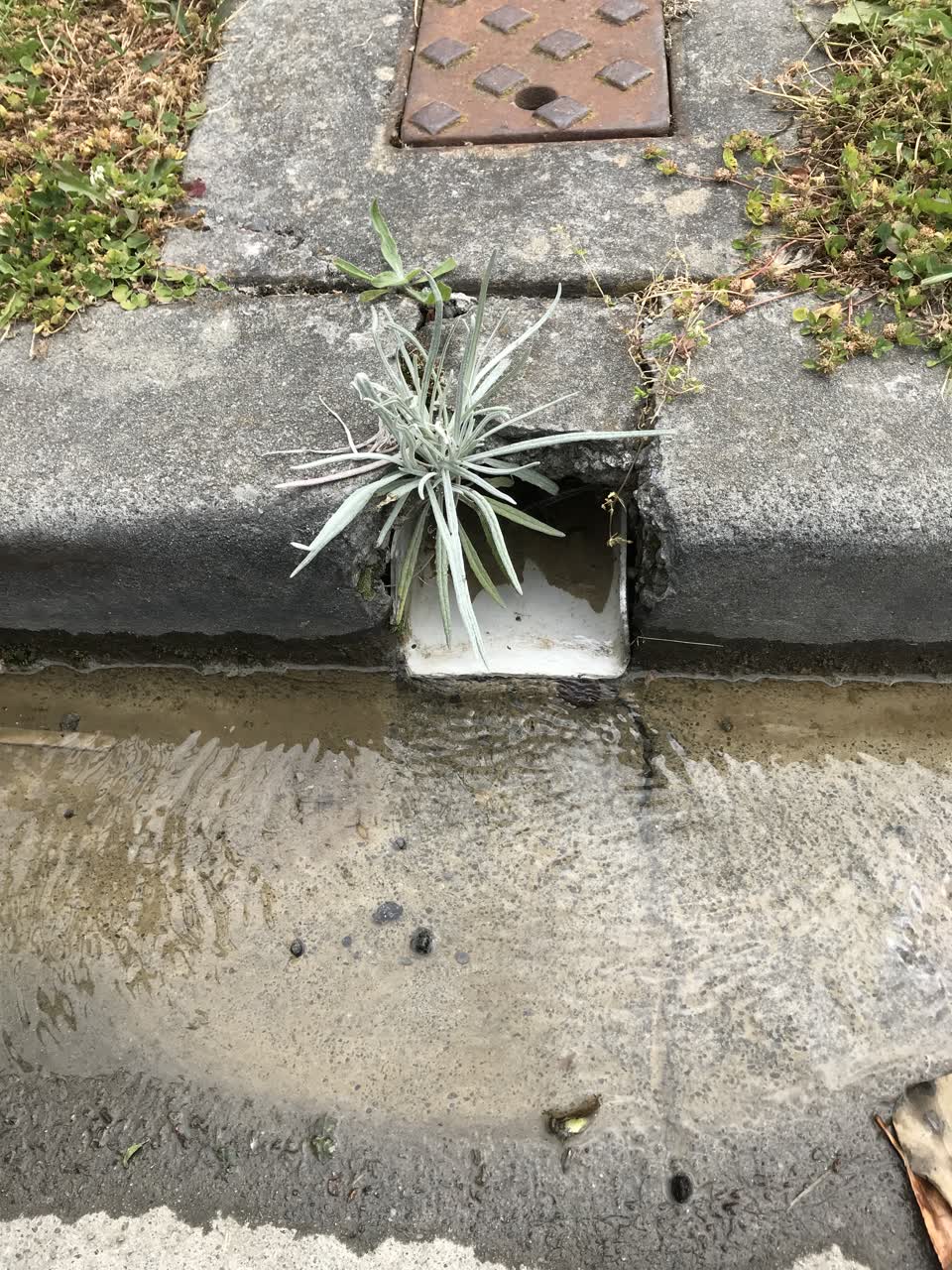 The photograph attached to this water leak report