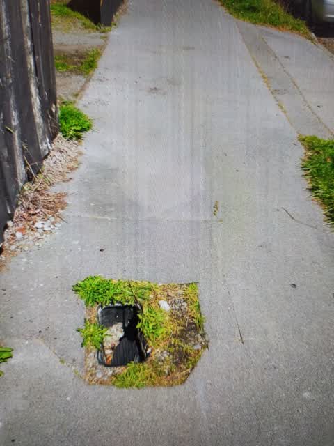 Water Supply, a report photo