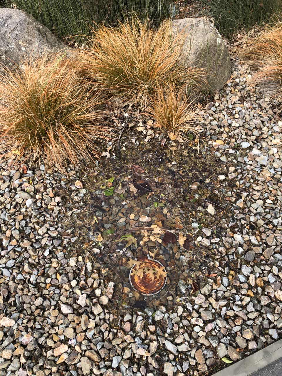 The photograph attached to this water leak report