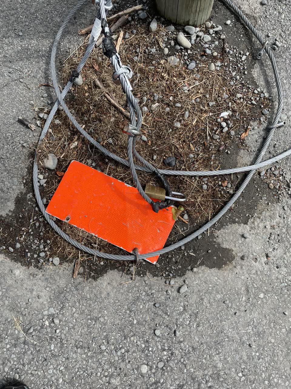 The photograph attached to this parks report