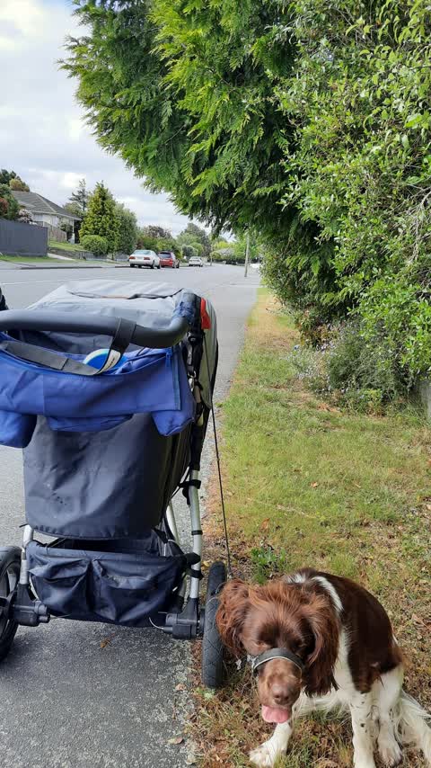 Roading/Streets, a report photo