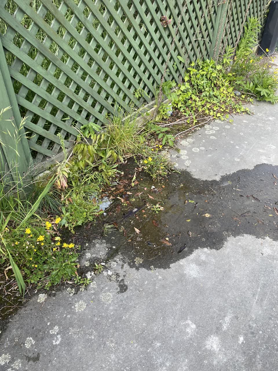 The photograph attached to this water leak report