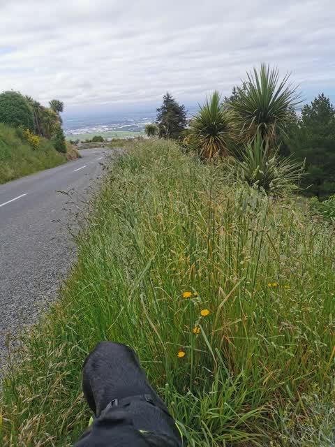 Roading/Streets, a report photo