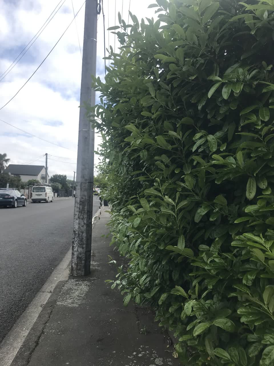 The photograph attached to this roading/streets report