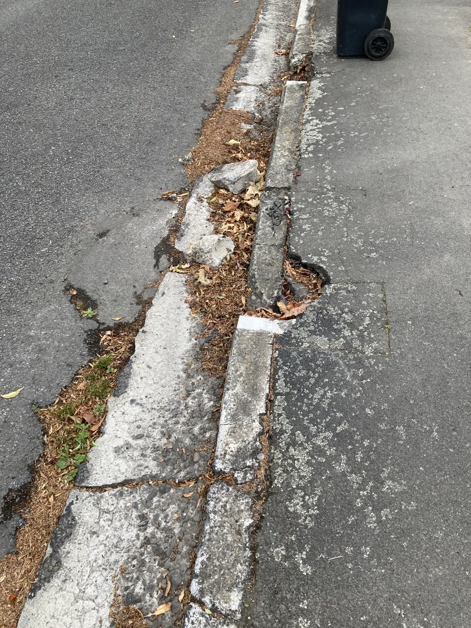 The photograph attached to this roading/streets report