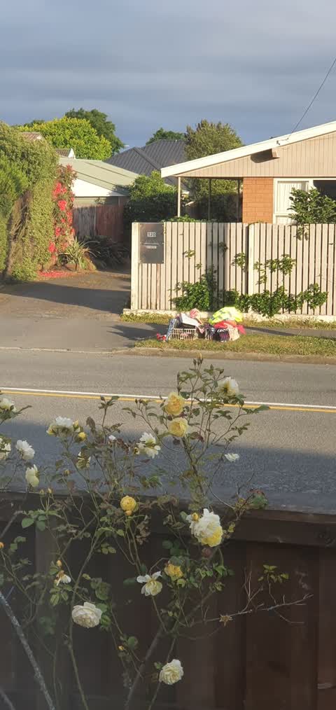 Rubbish/Recycling, a report photo