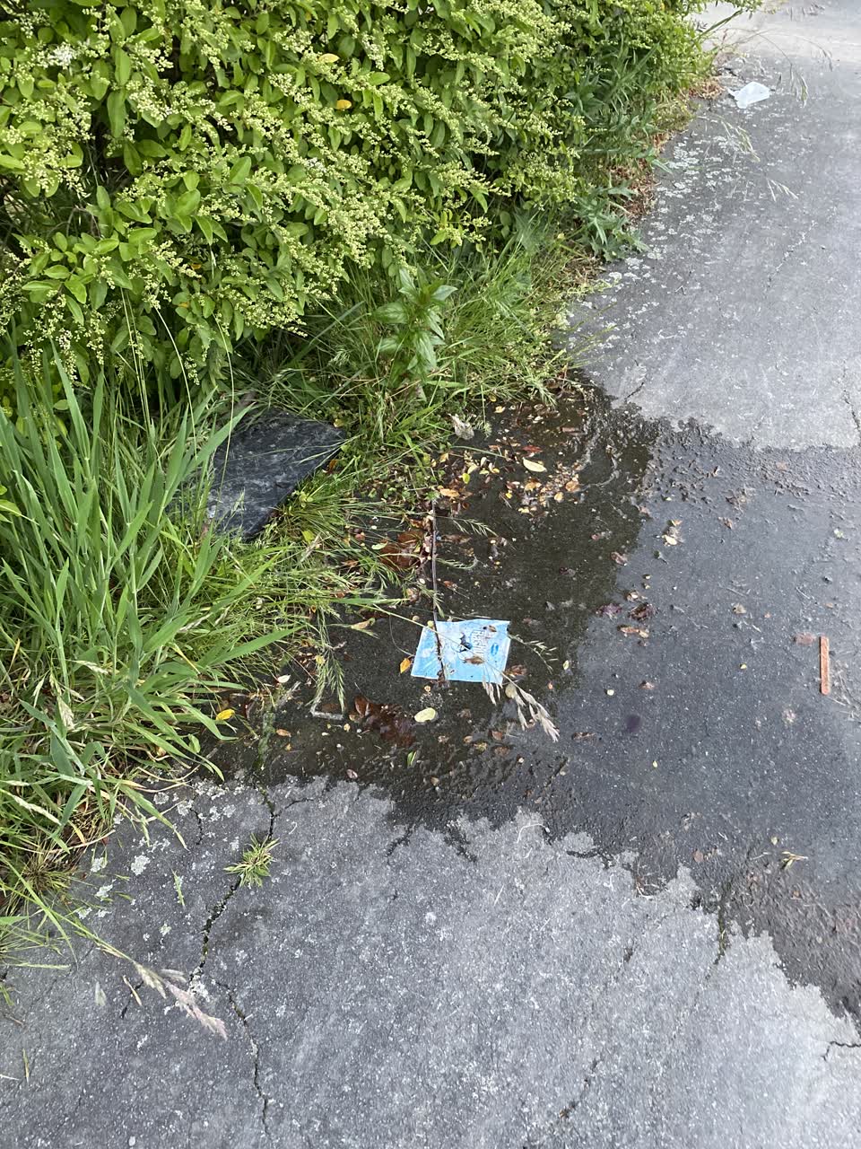 The photograph attached to this water leak report
