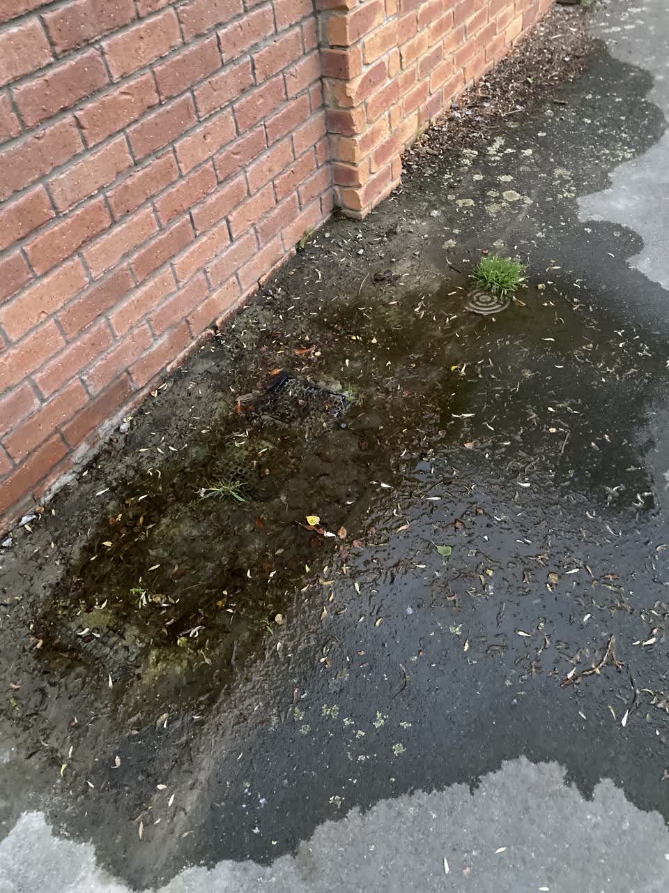 The photograph attached to this water leak report