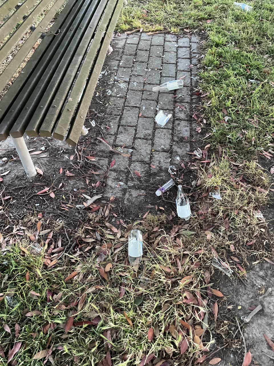 The photograph attached to this parks report