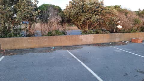 Parks — a report photo