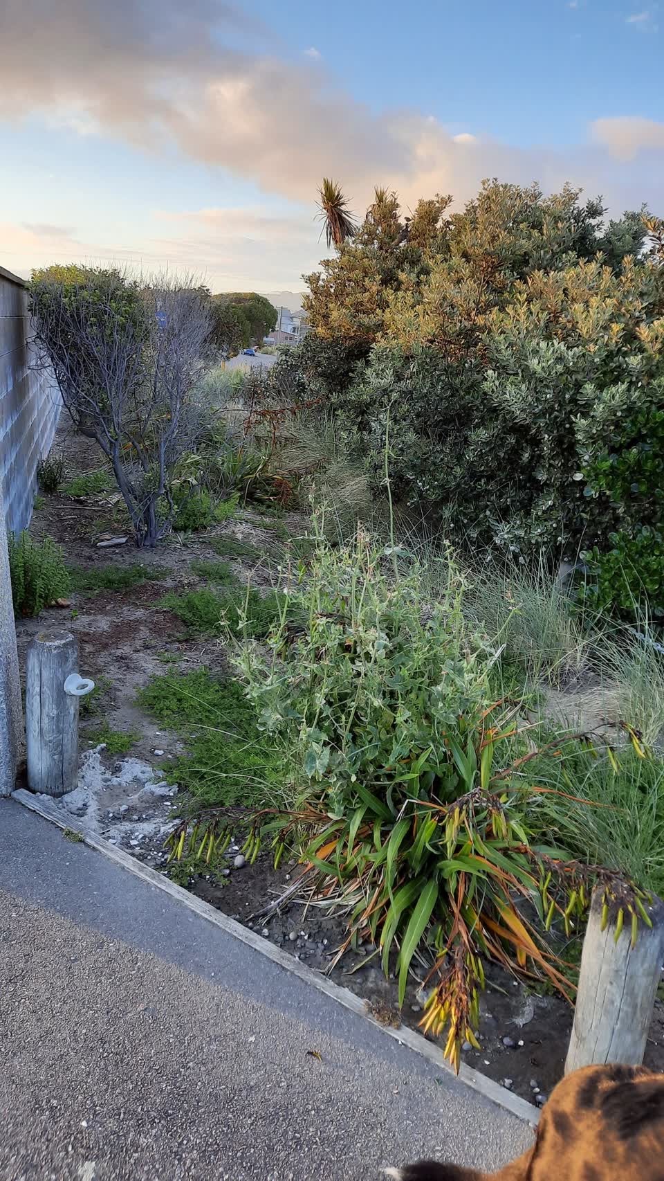 The photograph attached to this parks report