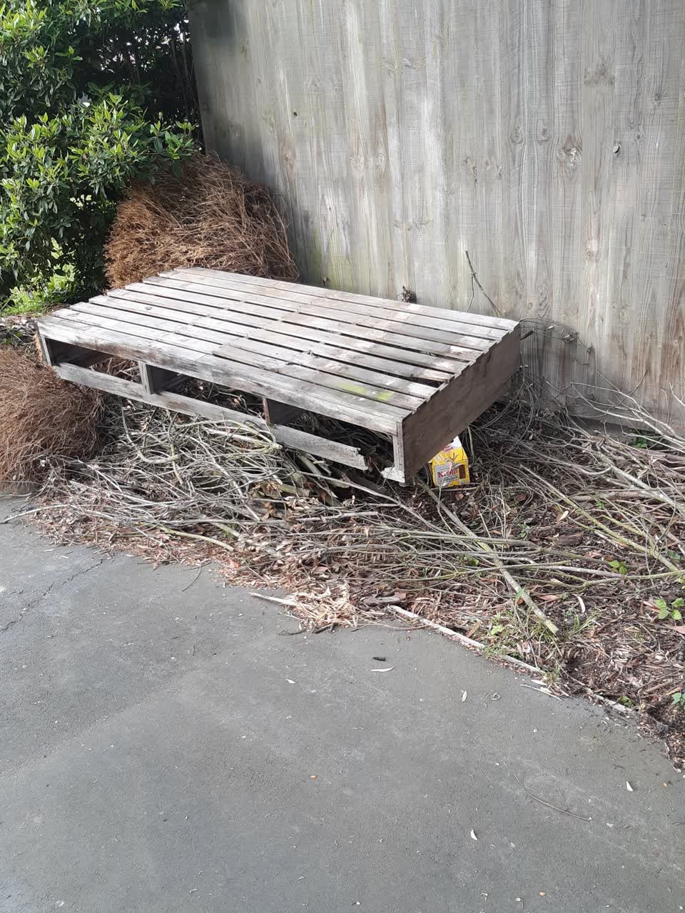 The photograph attached to this parks report