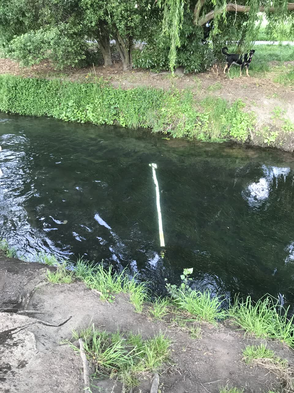 The photograph attached to this parks report