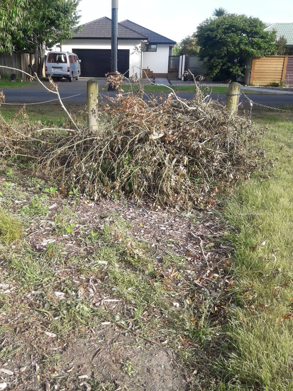 The photograph attached to this parks report