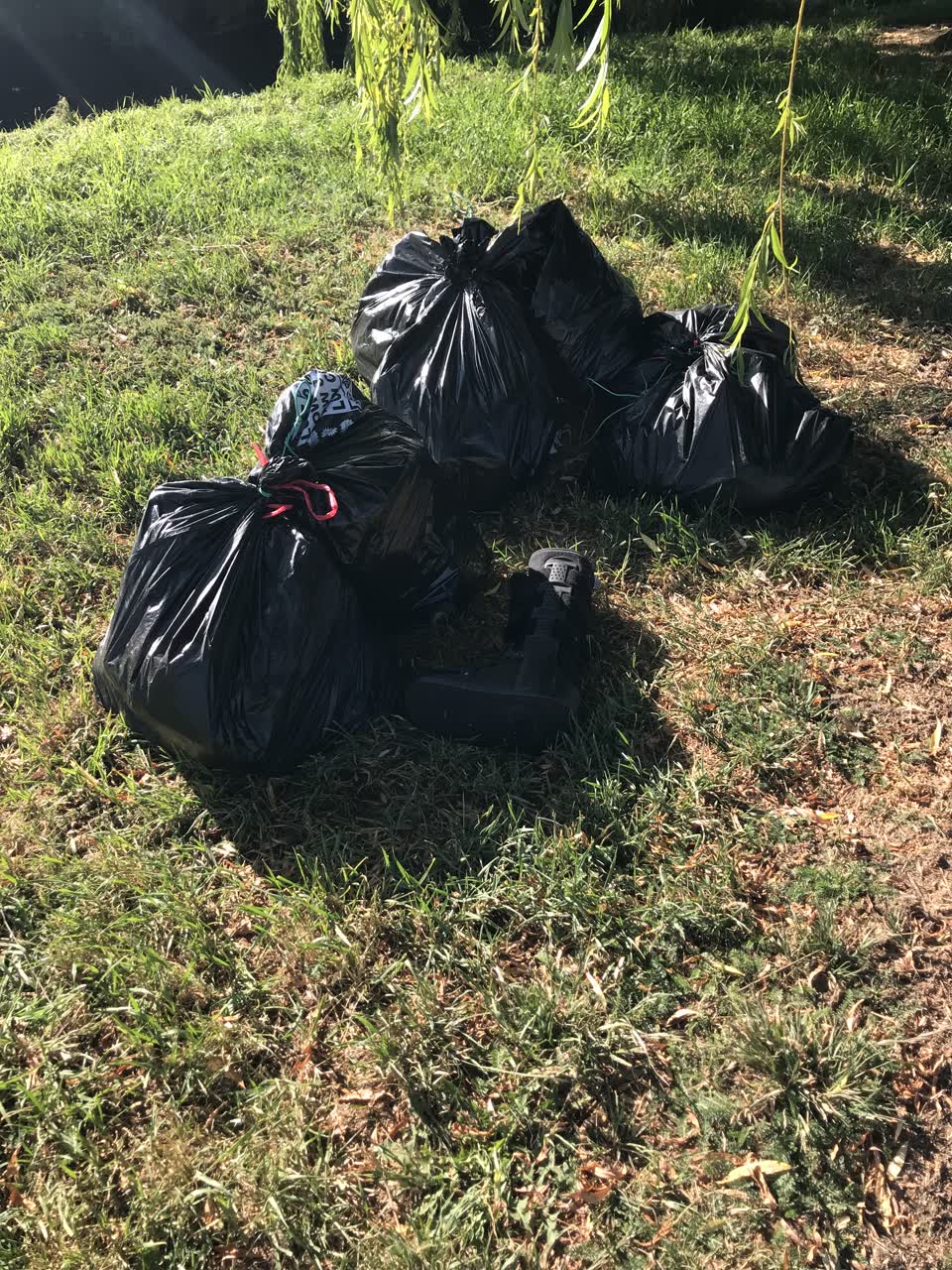 The photograph attached to this rubbish/recycling report