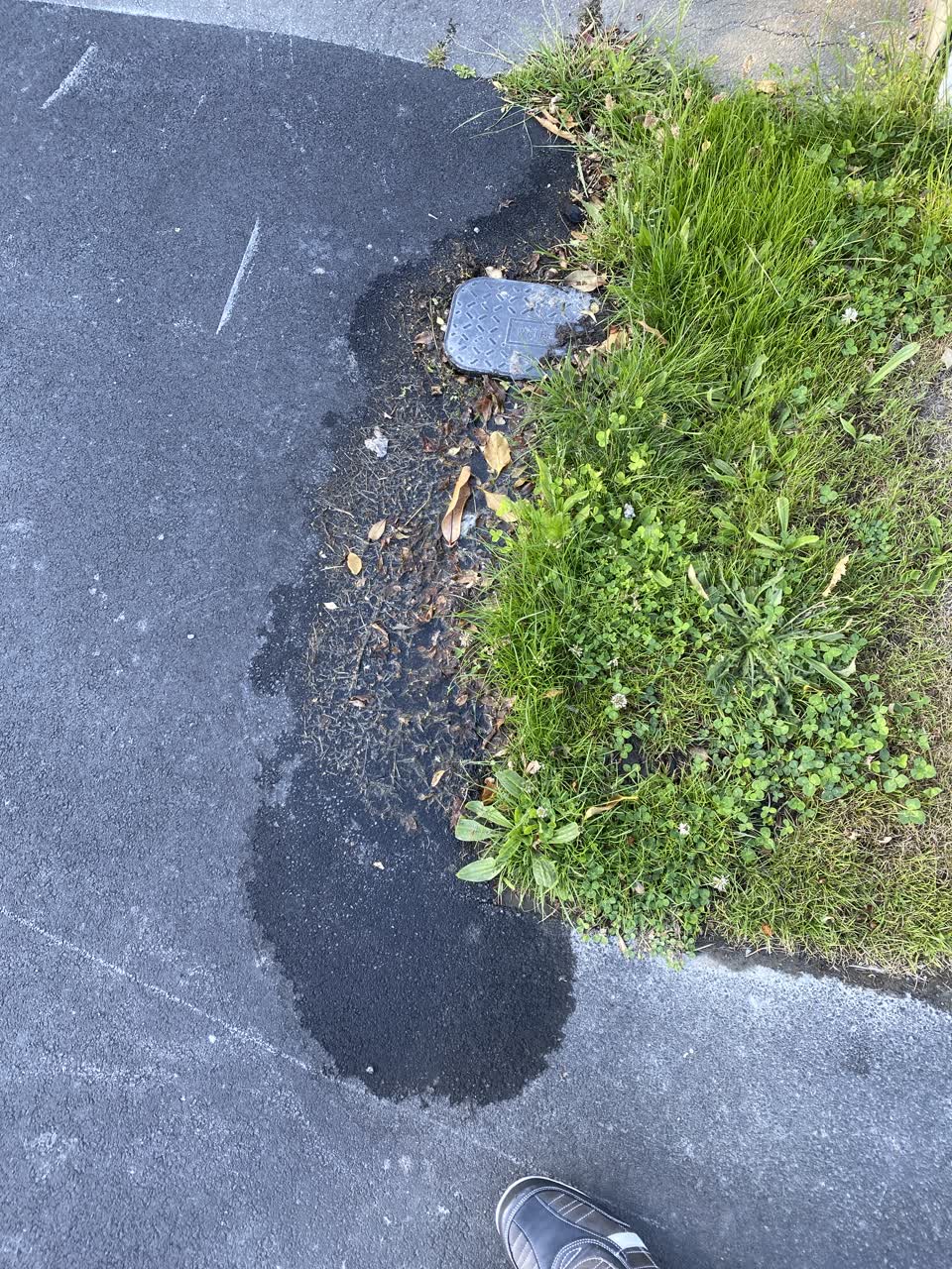 The photograph attached to this water leak report