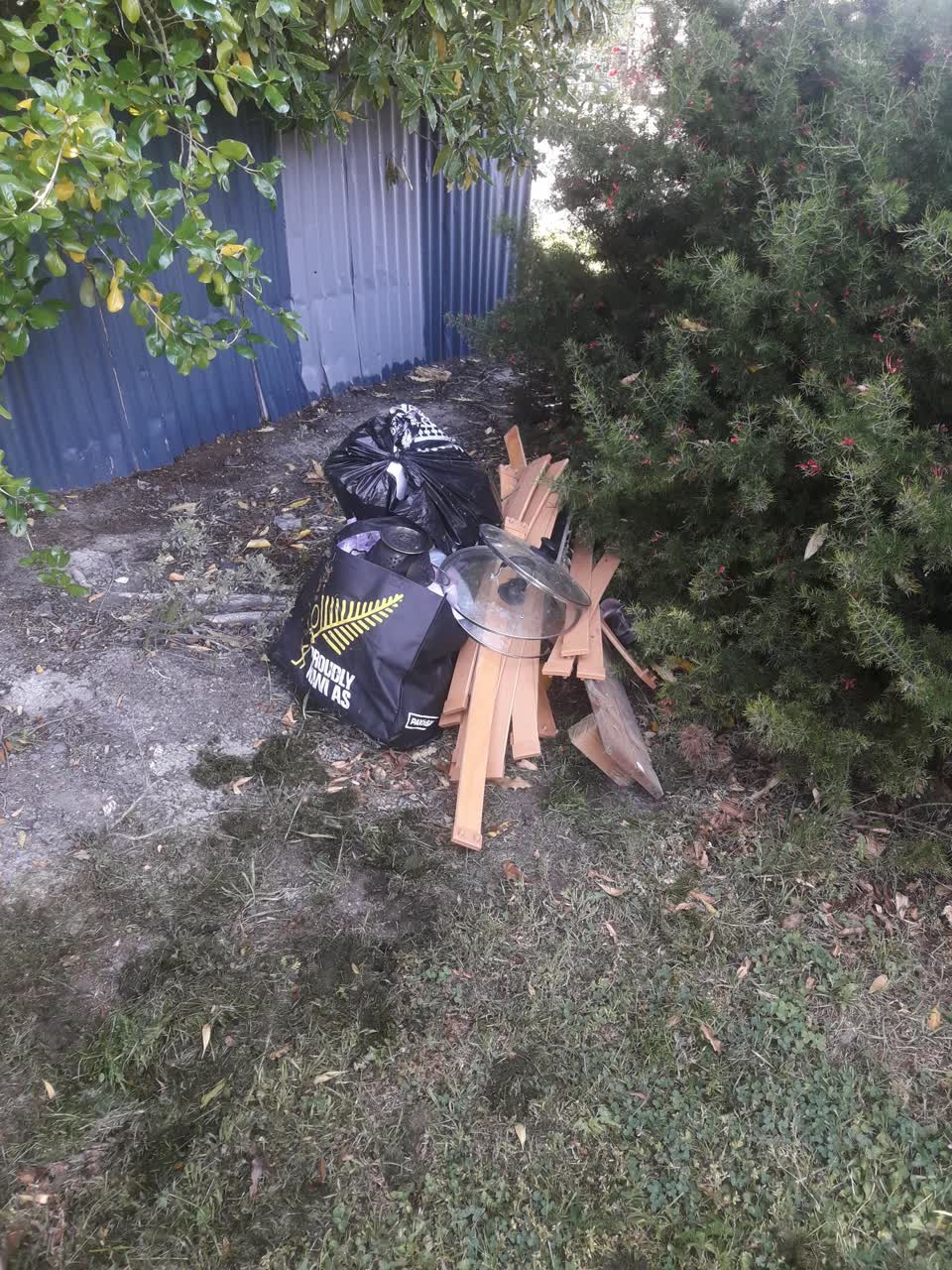 The photograph attached to this parks report