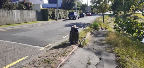 Rubbish/Recycling, a report photo